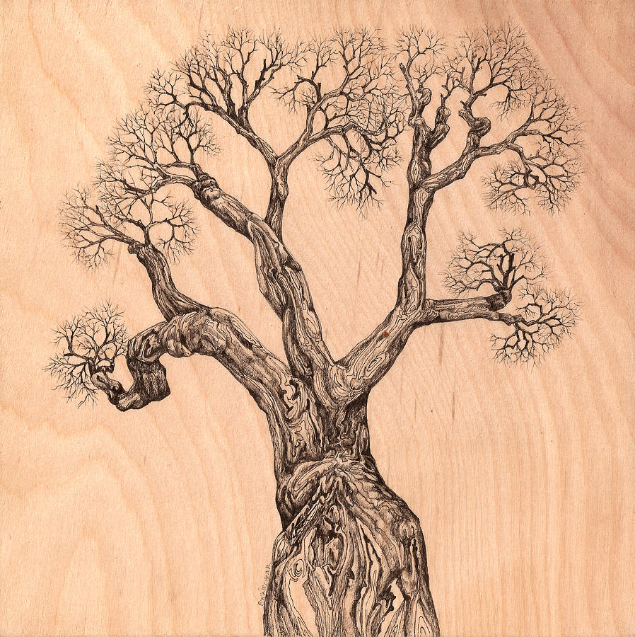 Tree 36 on Wood Digital Art by Brian Kirchner