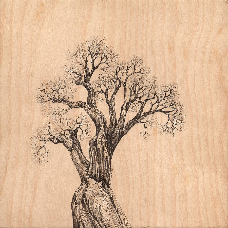 Tree 37 on Wood Digital Art by Brian Kirchner