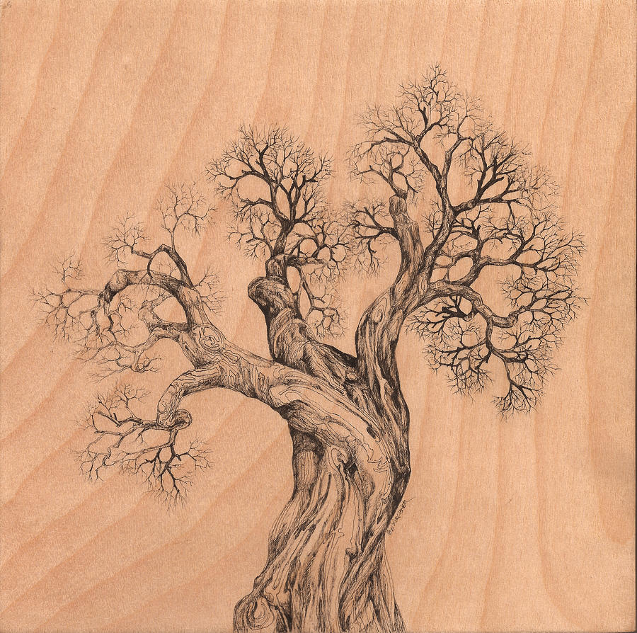 Tree 38 on Wood Digital Art by Brian Kirchner