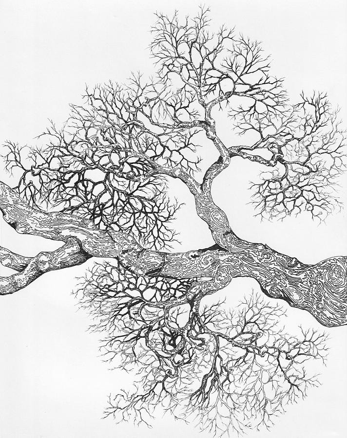 Tree 8 Digital Art by Brian Kirchner