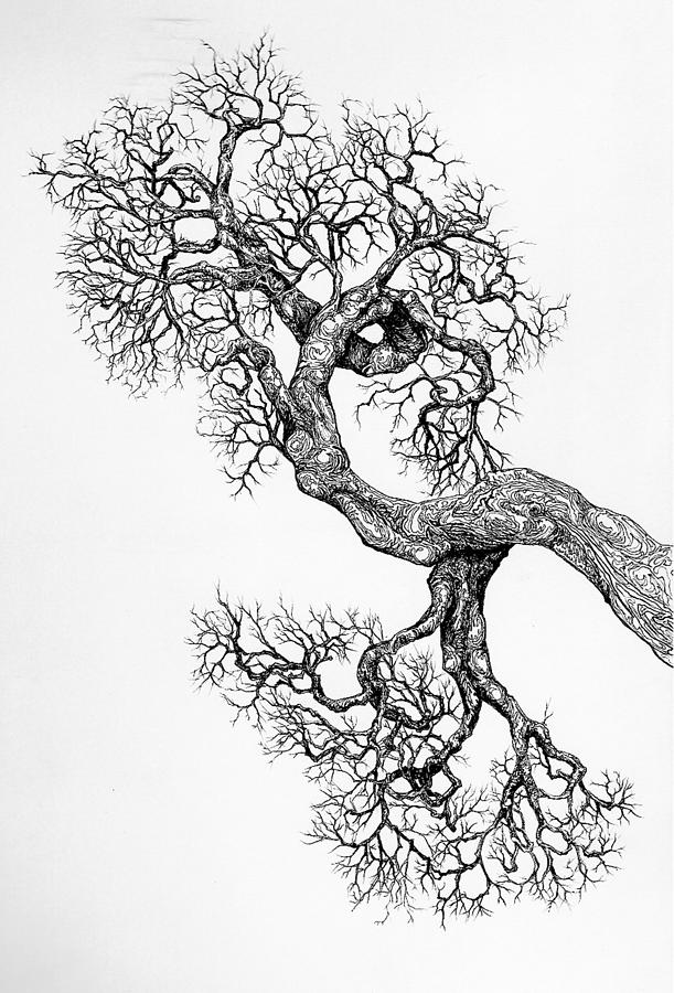 Tree 9 Digital Art by Brian Kirchner