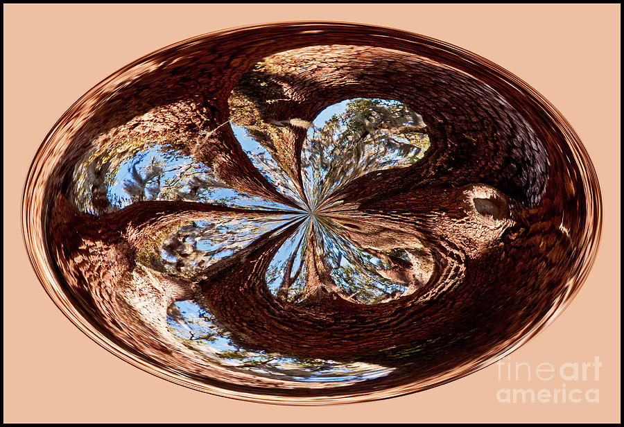 Tree and Blue Sky Orb Abstract Photograph by Bob and Nancy Kendrick
