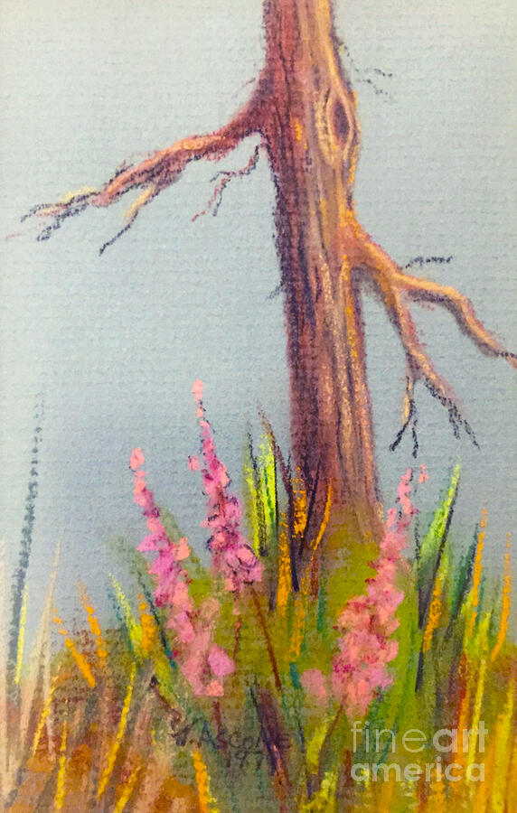 Summer Pastel - Tree and Fireweed by Teresa Ascone