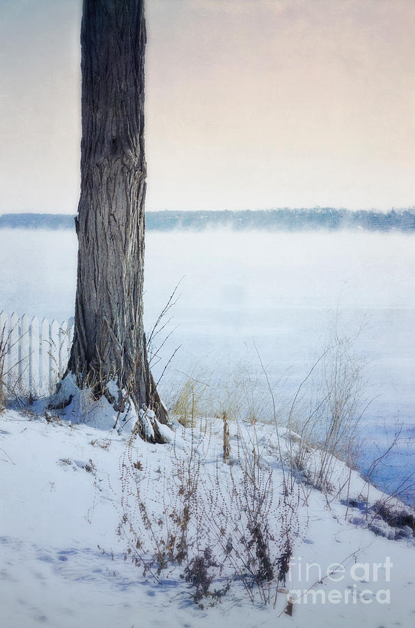 Tree and Picket Fence by the Misty Lake in Winter Photograph by Jill Battaglia