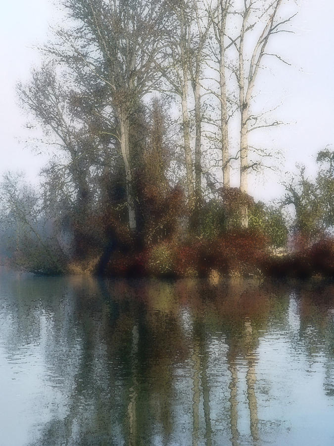 Tree and Reflection Photograph by Mamoun Sakkal