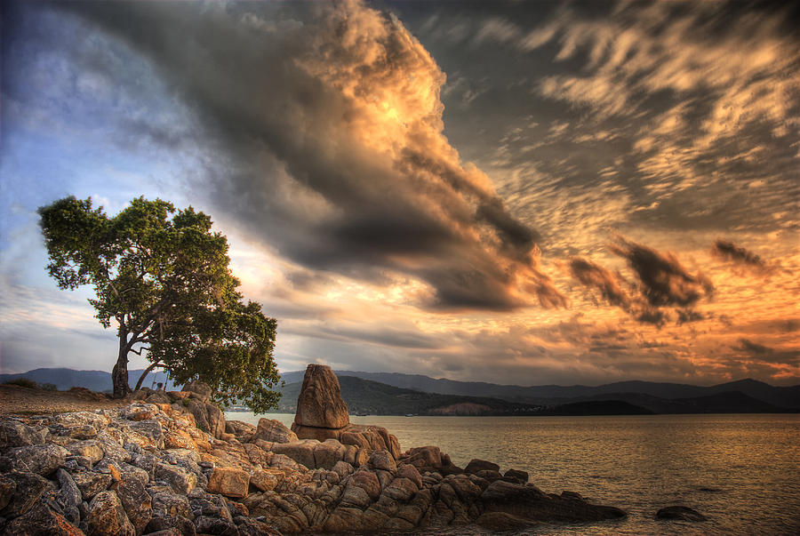 Sunset Photograph - Tree and rock by Richard Ten Brinke