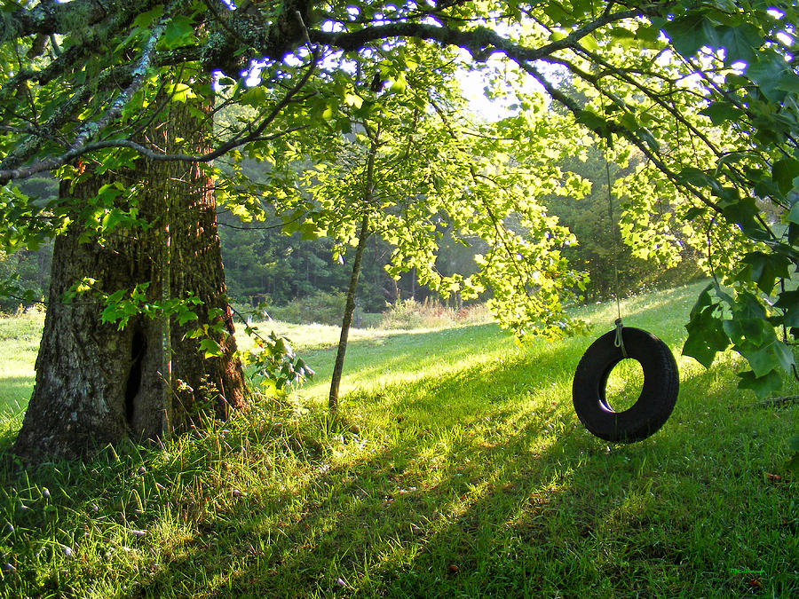 Tree and Tire Swing in Summer Photograph by Duane McCullough
