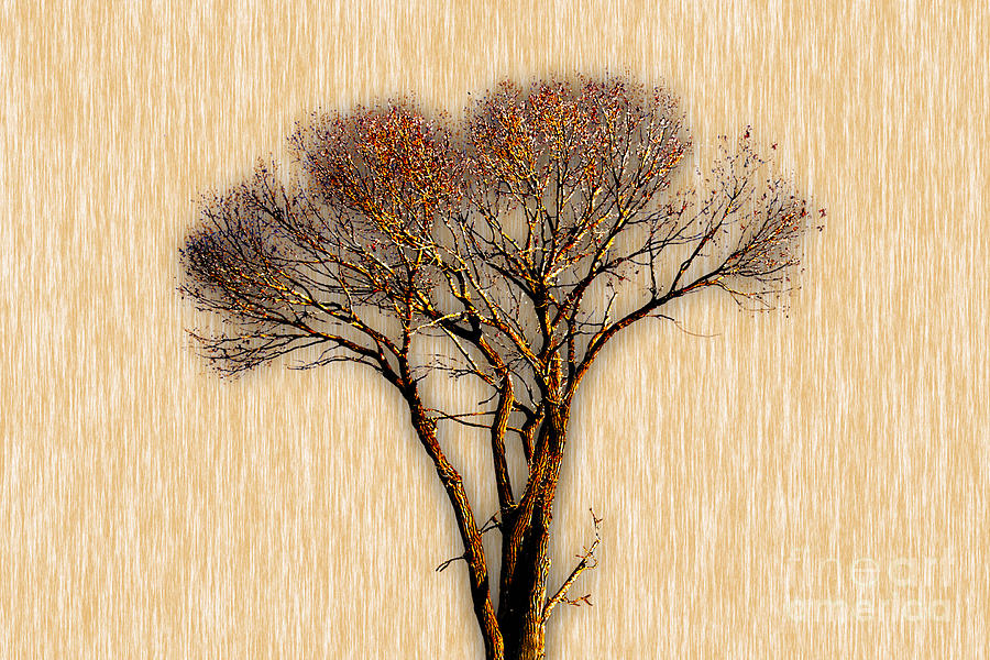 Tree Mixed Media - Tree Art. by Marvin Blaine