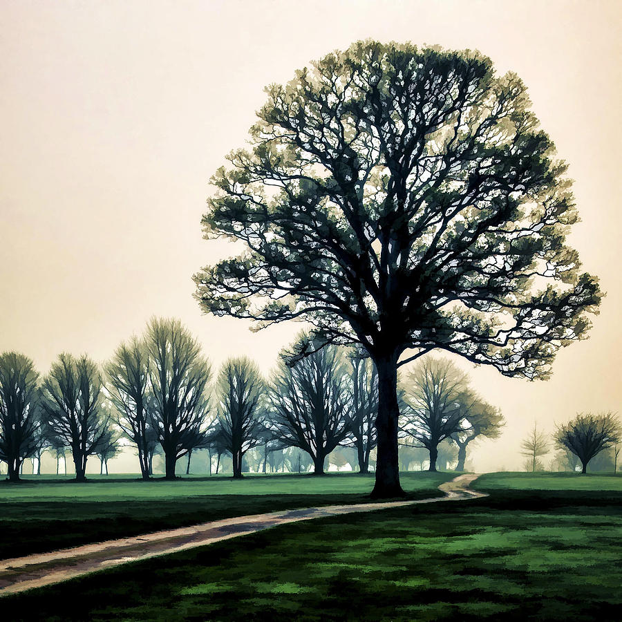 Tree at dawn on golf course Photograph by Neil Alexander Photography