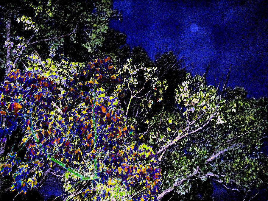 Tree At Night 2 Digital Art by Eric Forster