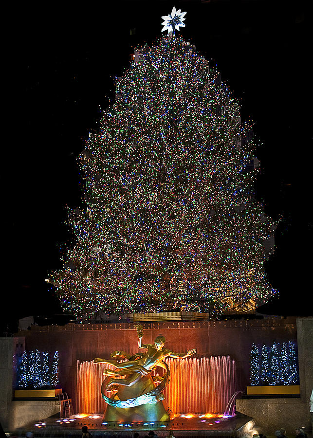 Tree At Rockefeller Center Photograph by Patricia Bolgosano