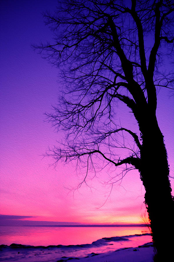 Sunset Photograph - Tree at Sunrise by Tracy Winter