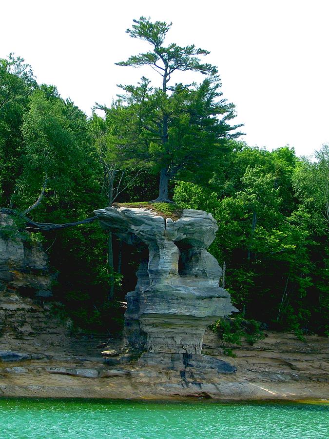 Tree Atop Chapel Rock Photograph by Keith Stokes