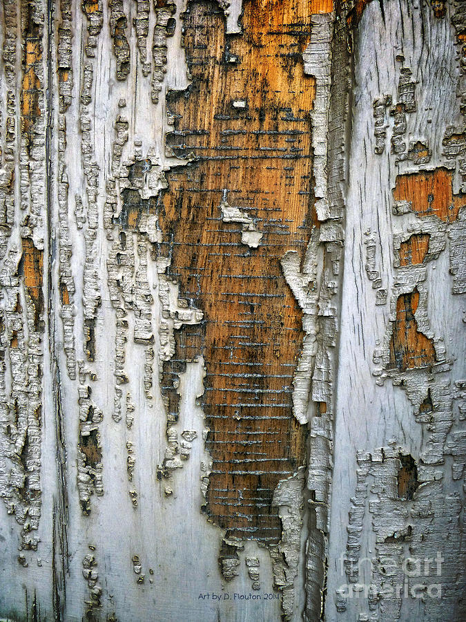 Tree Bark Texture Photograph by Dee Flouton