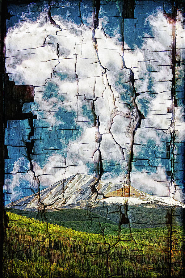 Tree Bark Mountain Tapestry Photograph by Lincoln Rogers