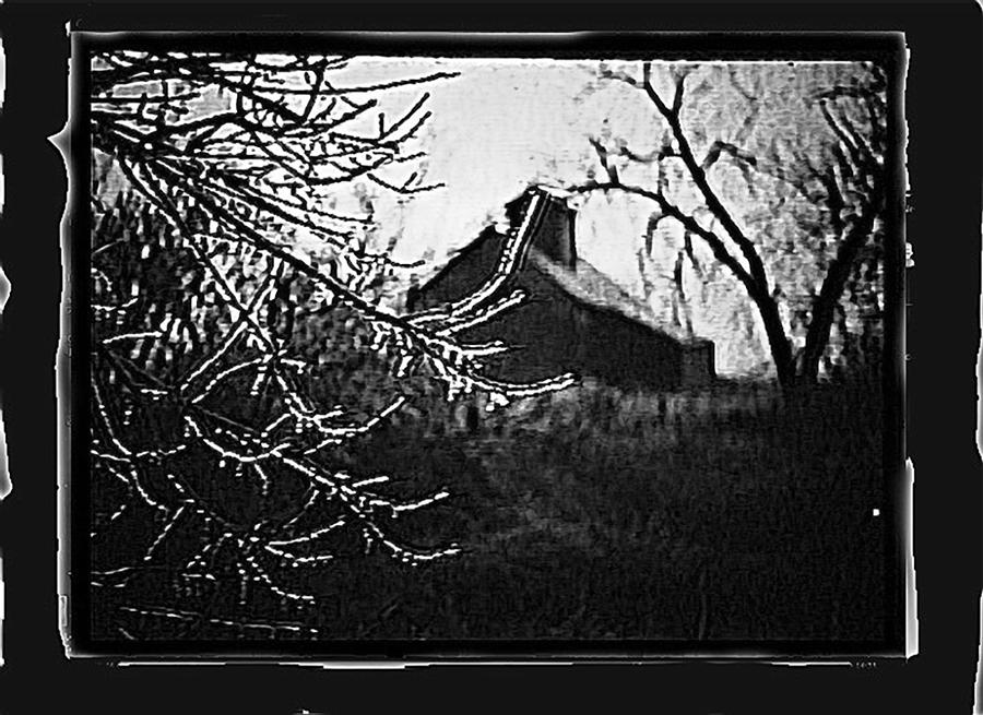Tree Barn Near Aberdeen South Dakota Collage 1965-2008 Drawing Added Photograph by David Lee Guss