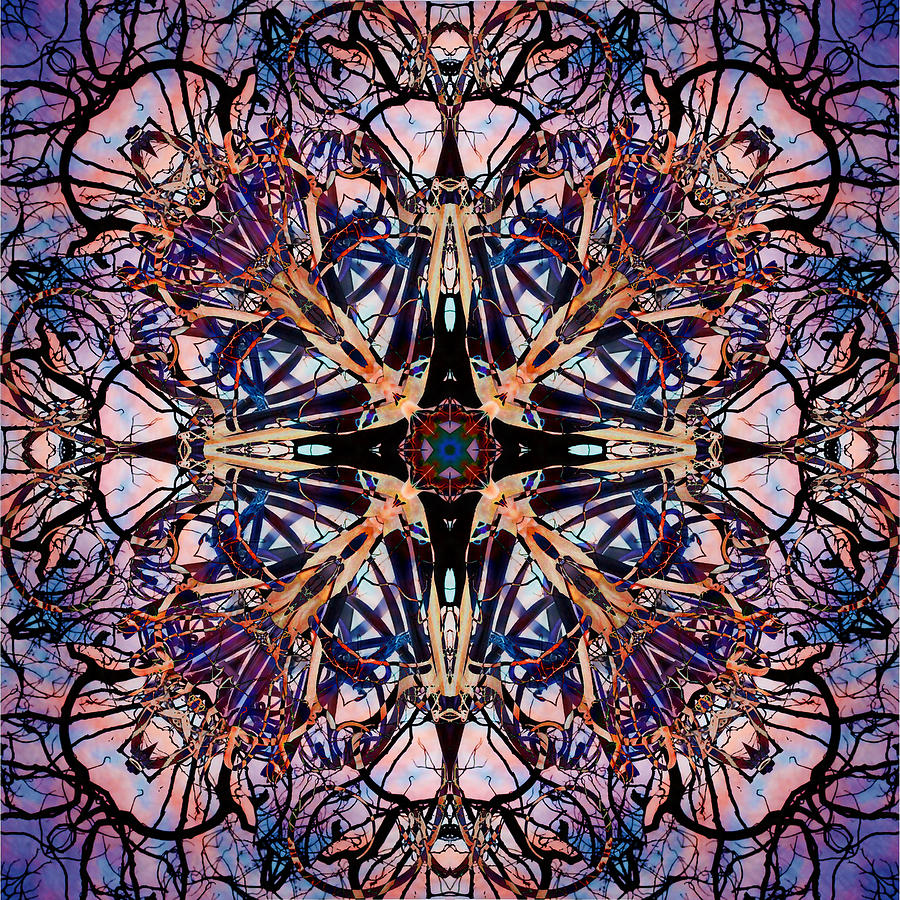 Tree Branch Kaleidoscope 2 Digital Art by Frances Miller