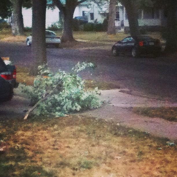 Wind Photograph - Tree Branch Missed Neighbors Vehicle by Sarah Howk