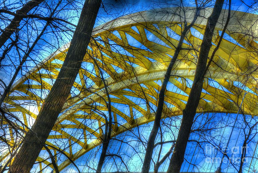 Bridge Photograph - Tree Bridge Designs by Mel Steinhauer