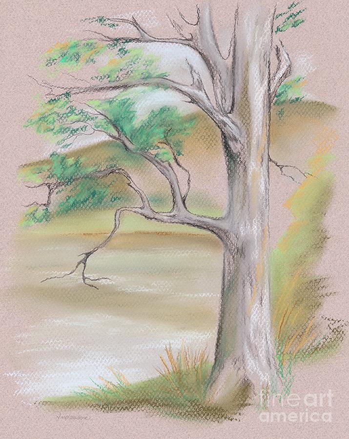 Tree by a Mountain Lake Pastel by MM Anderson