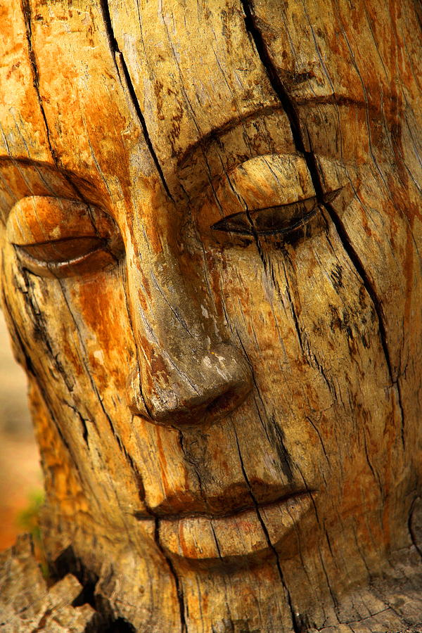Tree Carving Photograph by Stephen Dennstedt