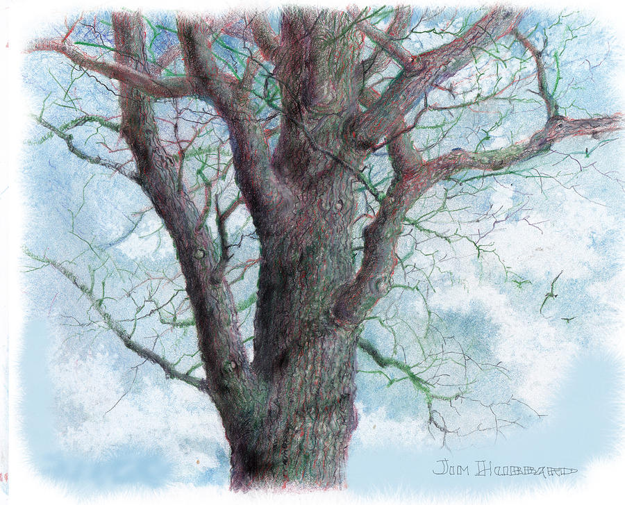 The Tree Is A Sketch In Pencil Background, Tree Draw Picture, Tree, Drawing  Background Image And Wallpaper for Free Download