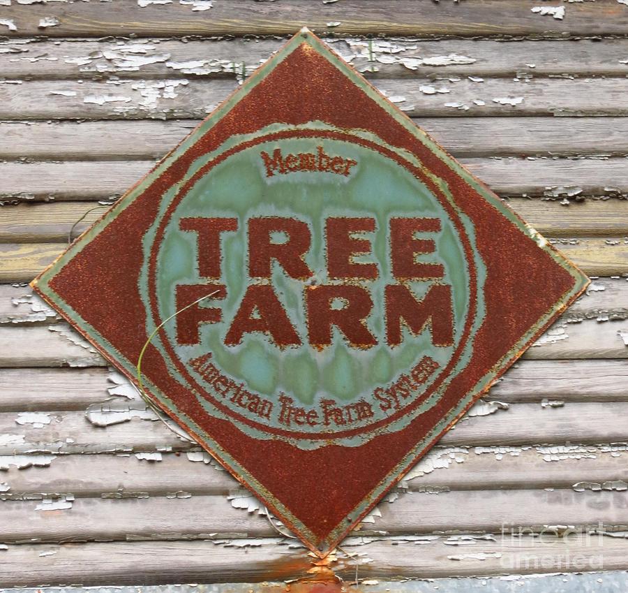 Tree Farm Sign Photograph by Anita Adams