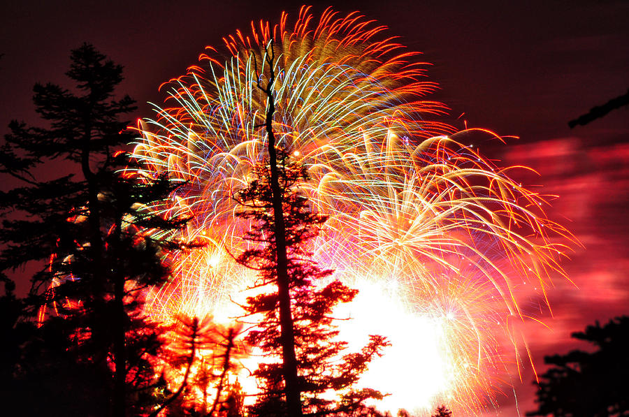 Tree-filtered Fireworks - Lake Tahoe - Nevada / California Photograph by Bruce Friedman