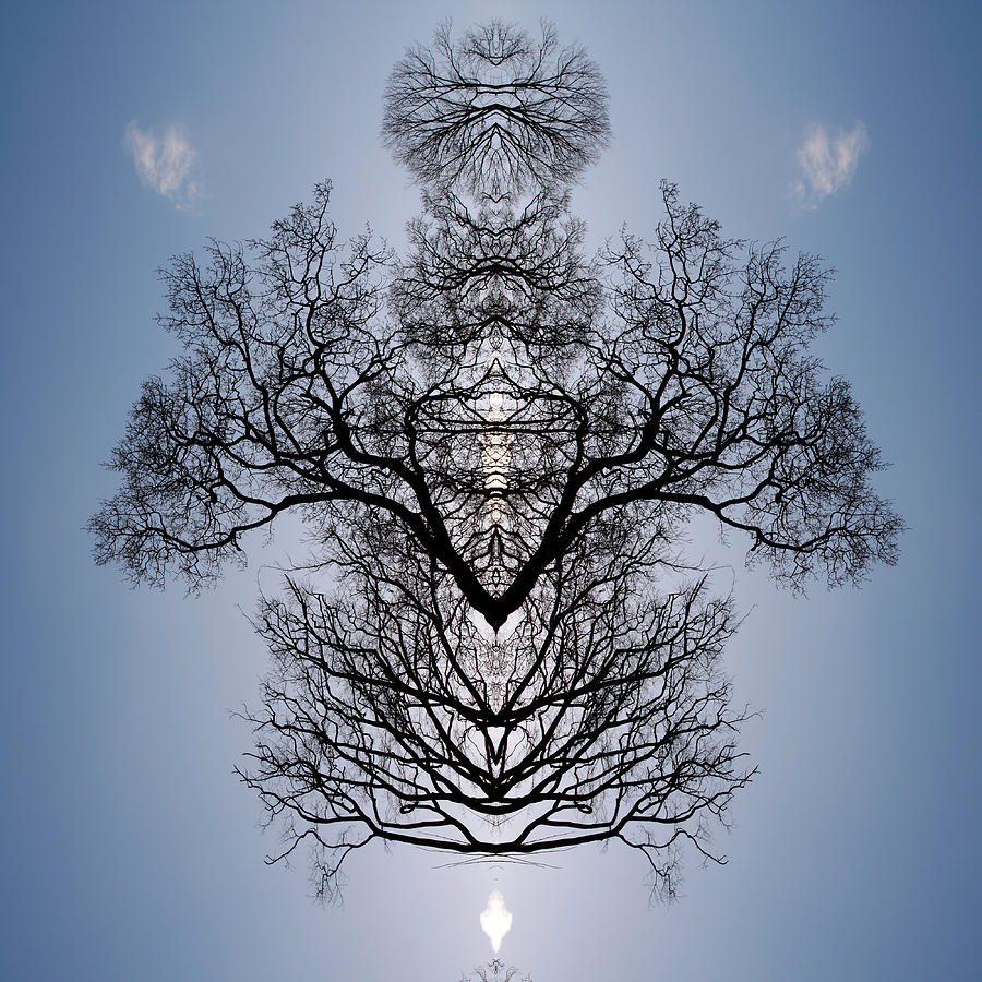 Tree Flip 2 Digital Art by Steve Ball