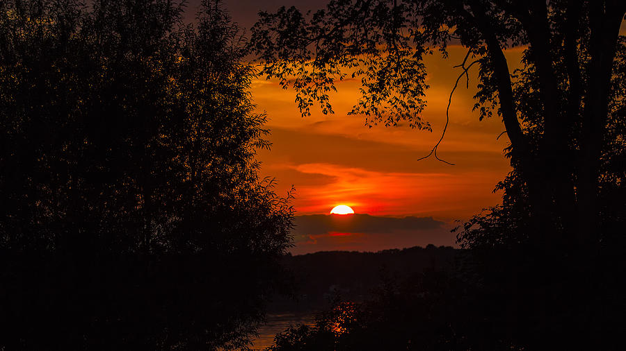 Sunset Photograph - Tree frame sunset by Chris Dzierzewski