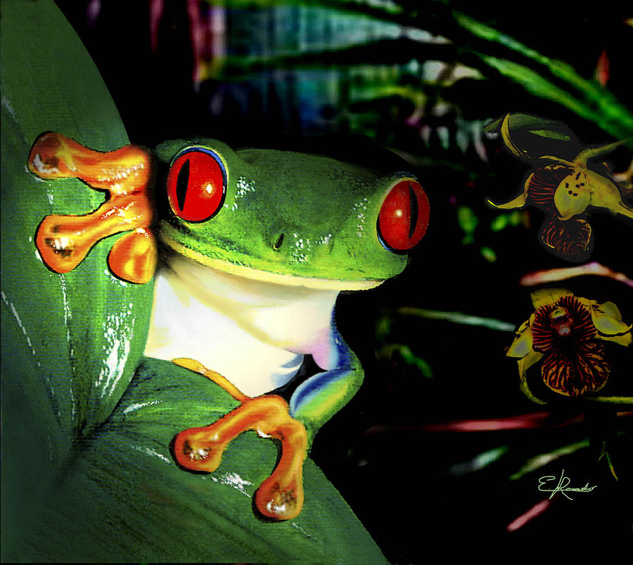 Frog Painting - Tree frog by Edwin Rosado