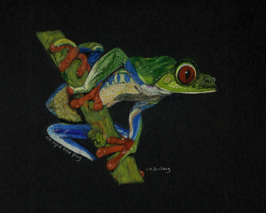 Tree Frog Painting by Linda Feinberg