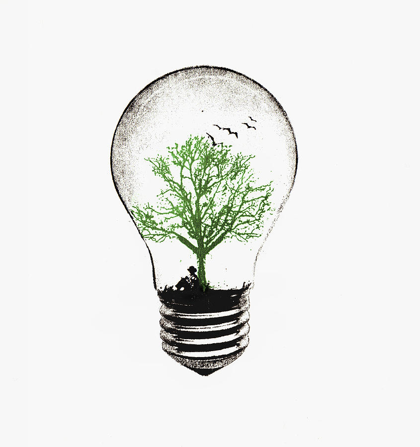Tree Growing In Light Bulb Photograph by Ikon Ikon Images