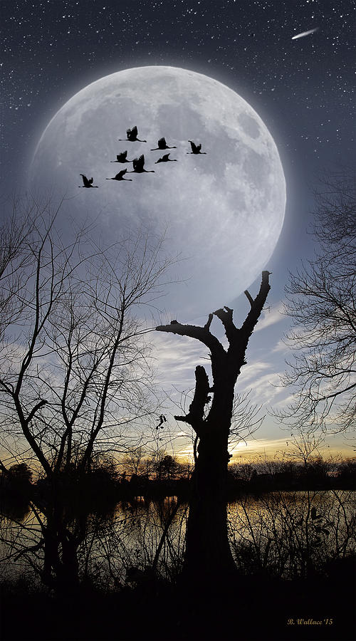 Tree Holding Up The Moon Photograph by Brian Wallace