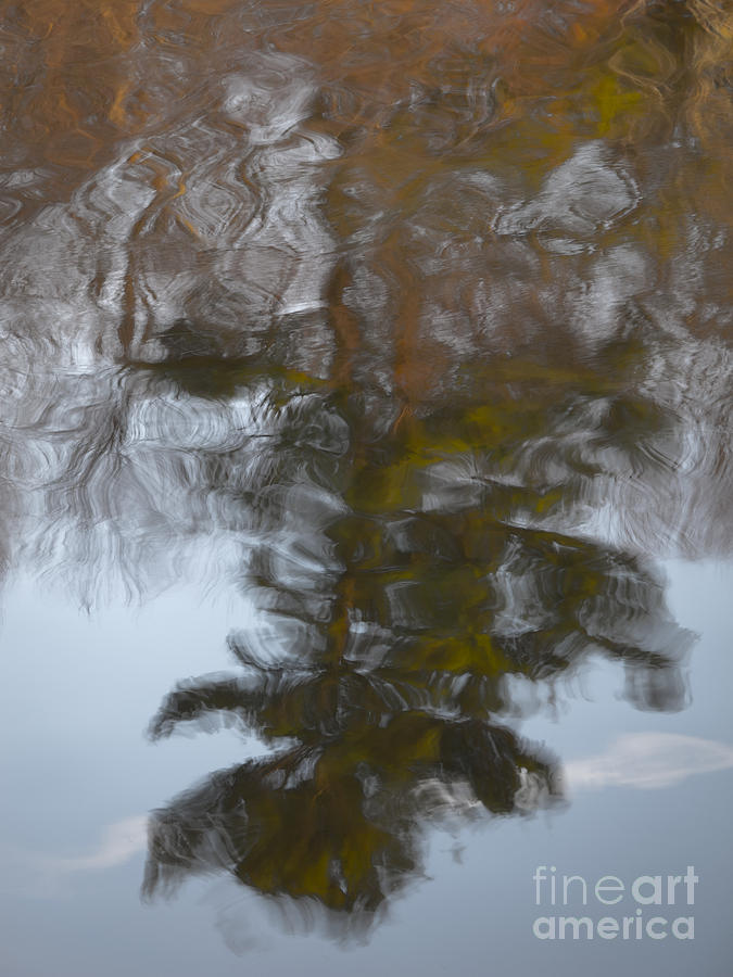Lone Tree Photograph - Tree Impression by Agata Wisniowska Lone Tree Photograph - Tree Impression by Agata Wisniowska