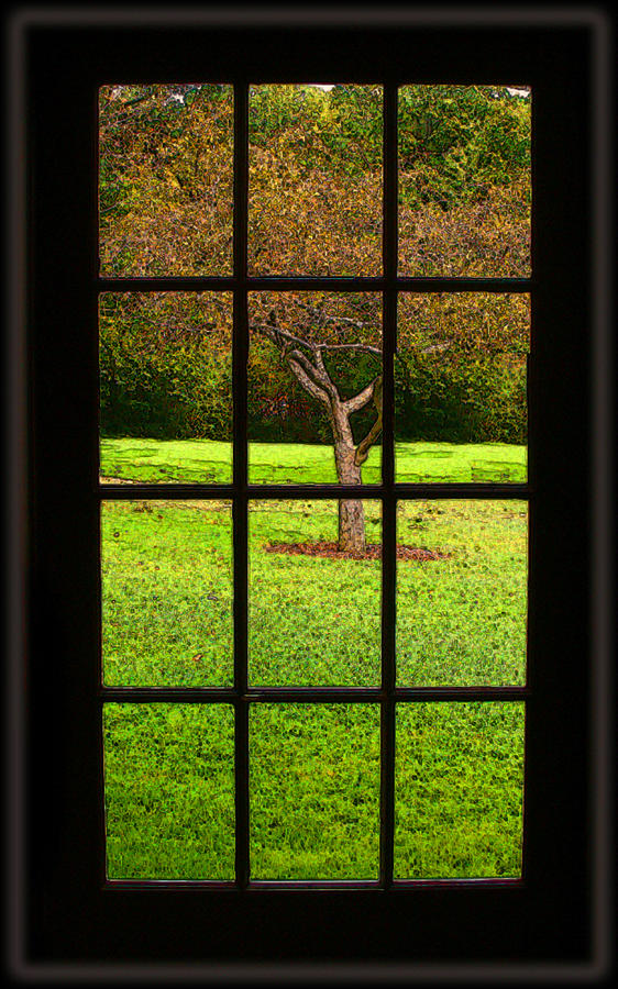 Tree in a Window Photograph by James R Tidyman Fine Art America