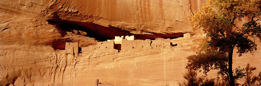 Canyon De Chelly National Monument Photograph - Tree In Front Of The Ruins Of Cliff by Panoramic Images
