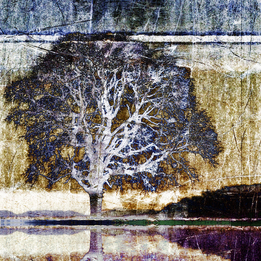 Abstract Photograph - Tree in Metal by Carol Leigh