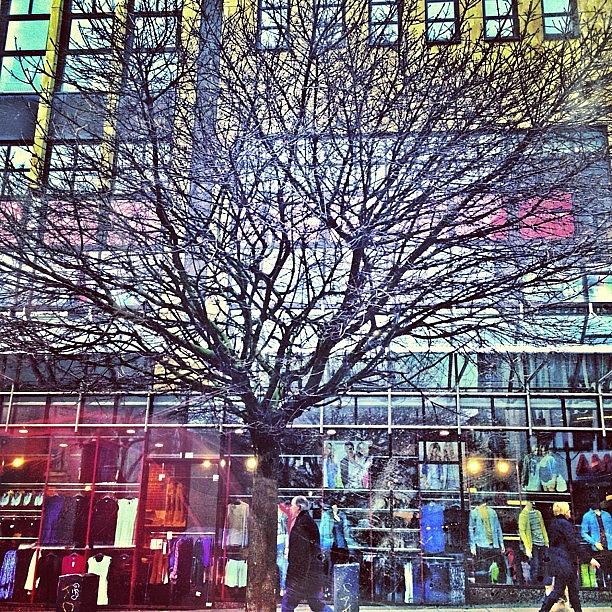 City Photograph - Tree In Shopping Street #city #shopping by Cy Rena