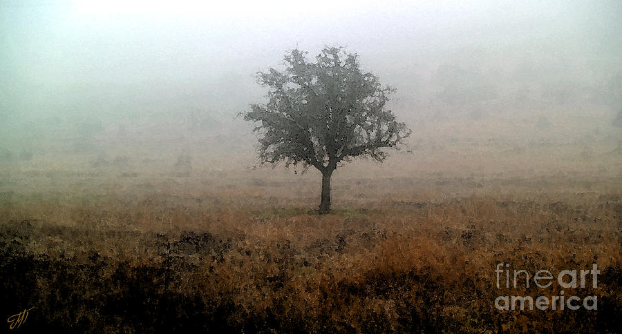 tree in the fog_Signed_Limited Edition Photograph by Art by Magdalene
