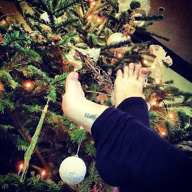 Toes Photograph - Tree Is Finally Up And Decorated! by Tantalising Toes