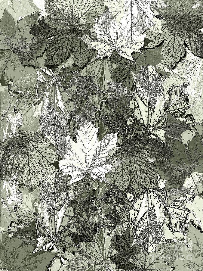 Tree Leaves - monochrome Digital Art by Klara Acel