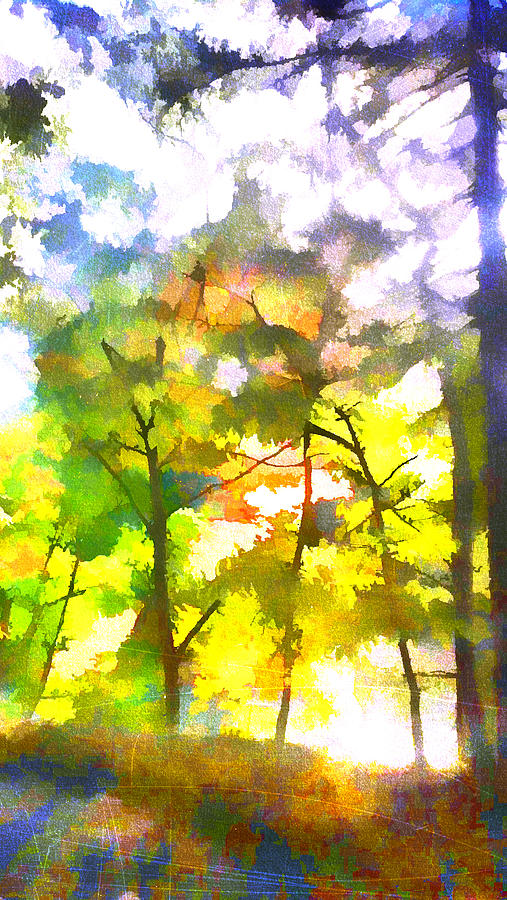 Tree Digital Art - Tree Leaves by Frank Bright