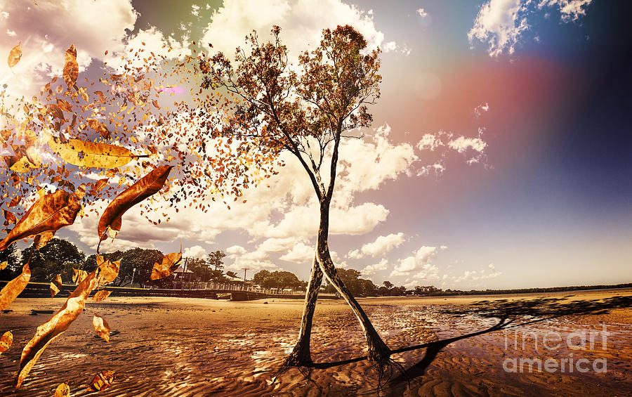 Surrealism Digital Art - Tree leaves on a sea change by Jorgo Photography