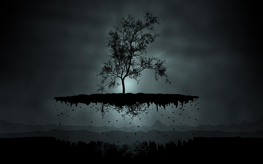 Tree Leaving Earth Photograph by Gianfranco Weiss