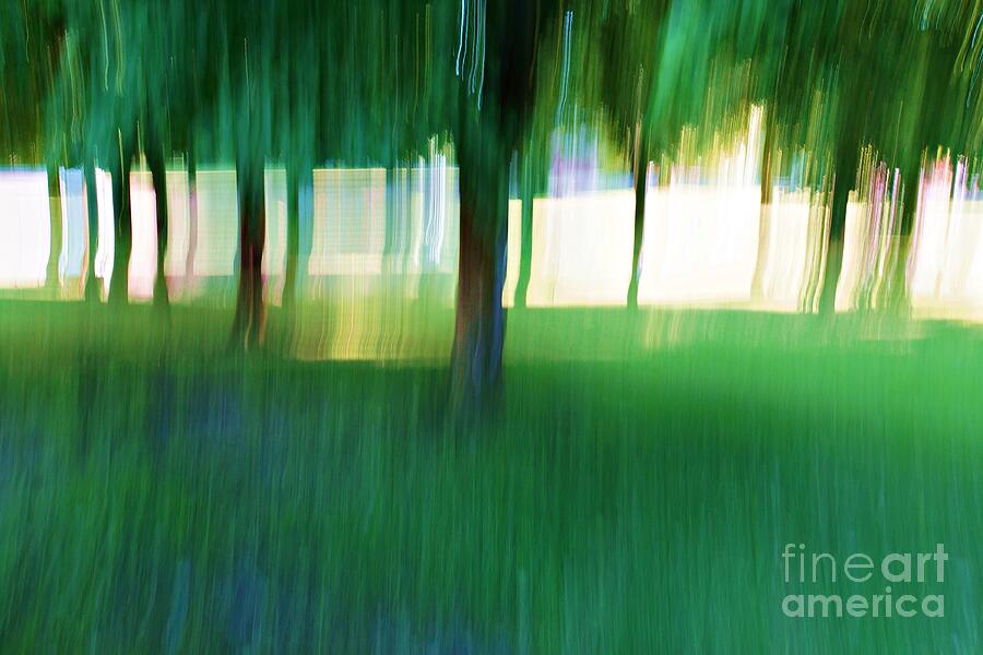 Abstract Photograph - Tree Line by Patricia Strand