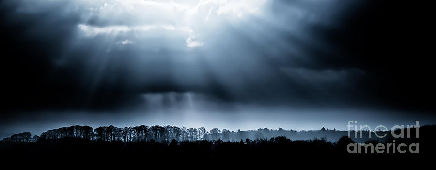 Tree lined landscape with sunrays Photograph by Simon Bratt