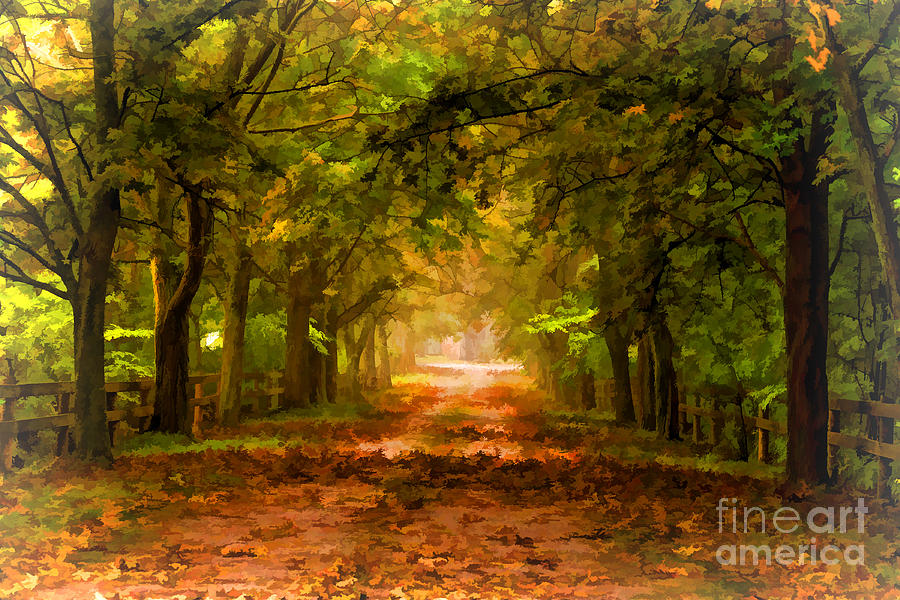 Tree lined lane in autumn Photograph by Les Palenik