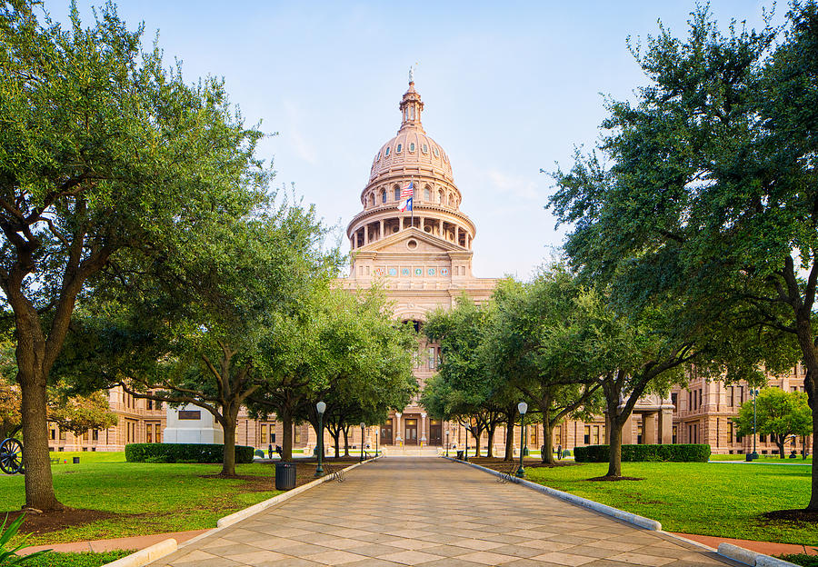 Tree lined pathway to Texas Capitol in Austin Photograph by Nicolas McComber