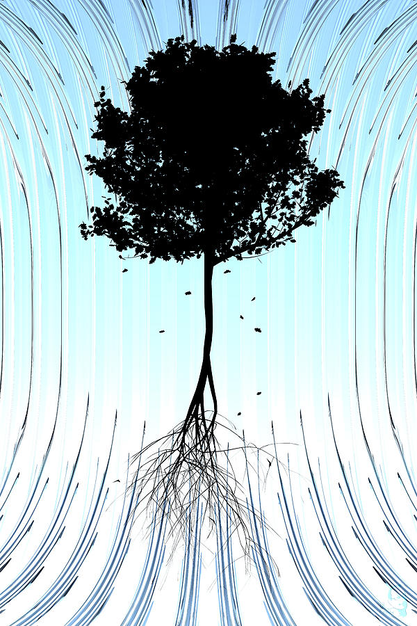 Tree Digital Art by Matthew Lindley